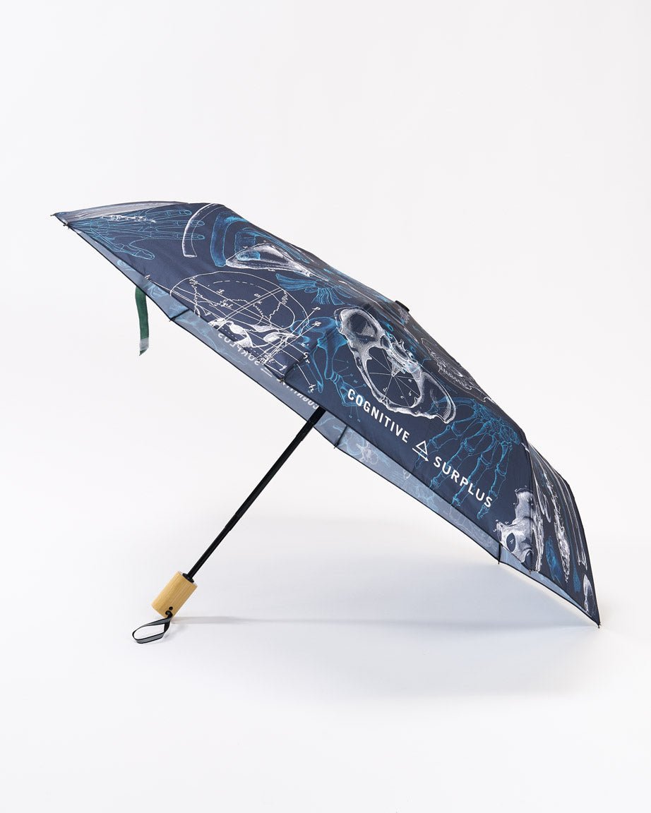 Skeleton Umbrella
