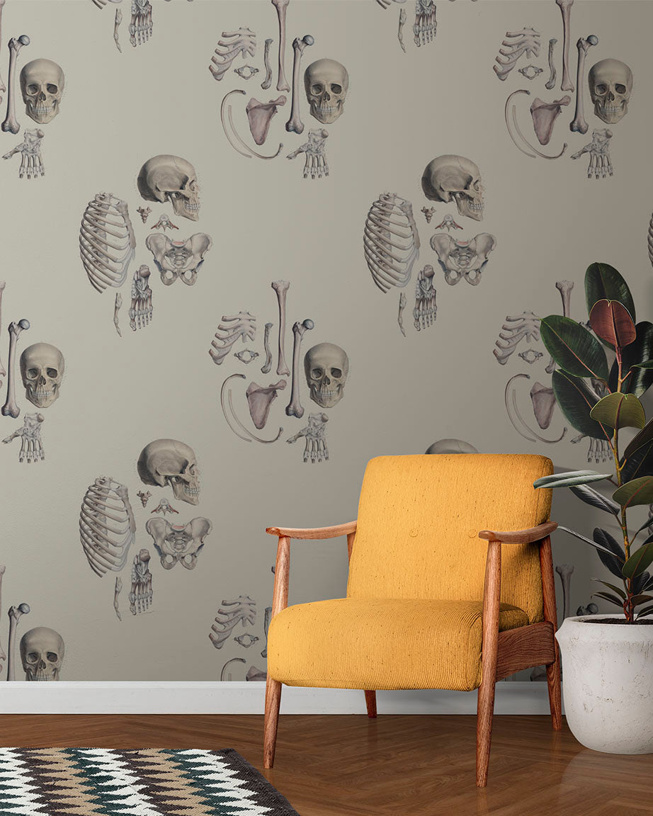 Elegant Skeleton Wallpaper – Cognitive Surplus