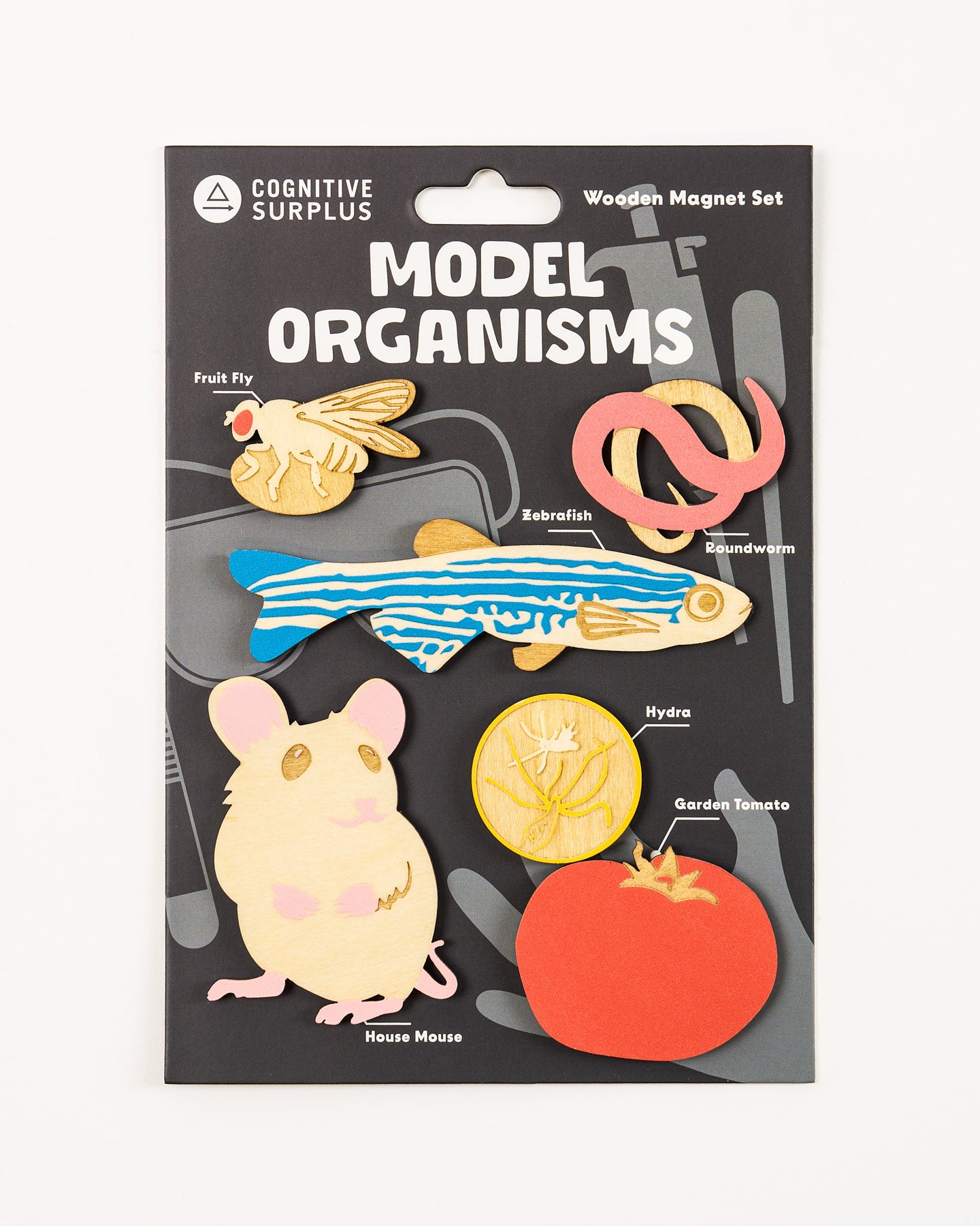 Model Organisms Wooden Magnet Set