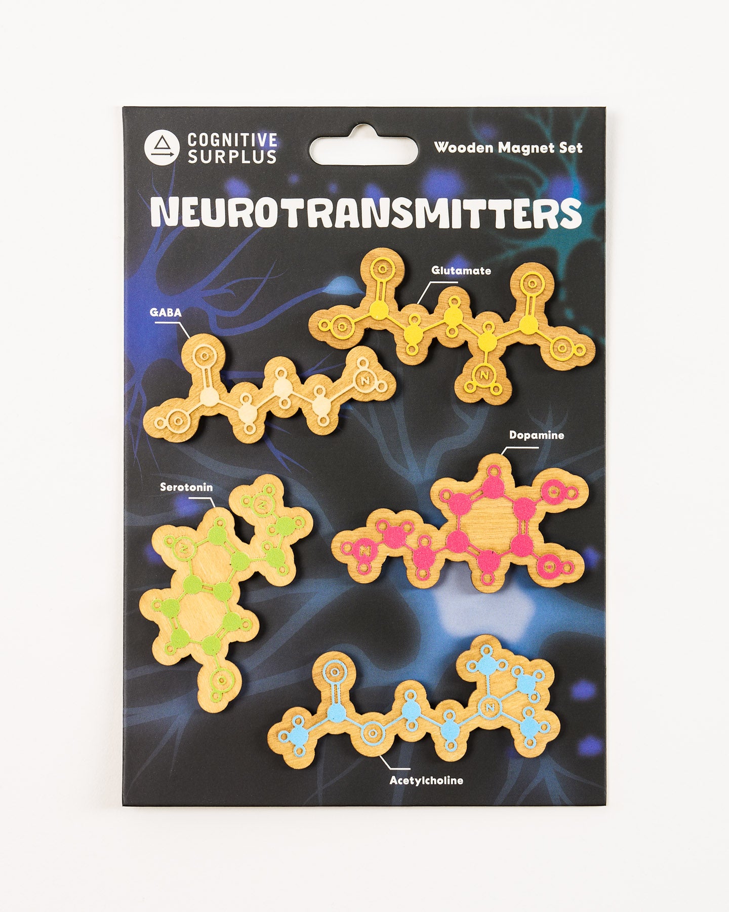Neurotransmitters Wooden Magnet Set