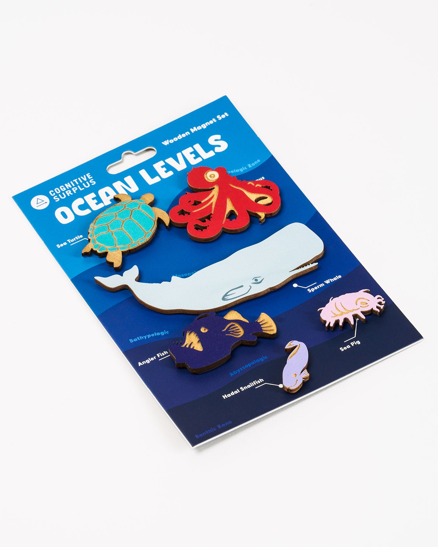 Ocean Levels Wooden Magnet Set