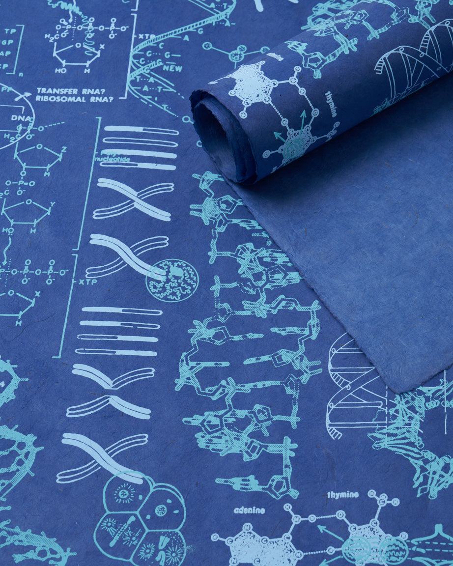 Dna Cpr Paper Genetics & DNA Wrapping Paper – Cognitive Surplus