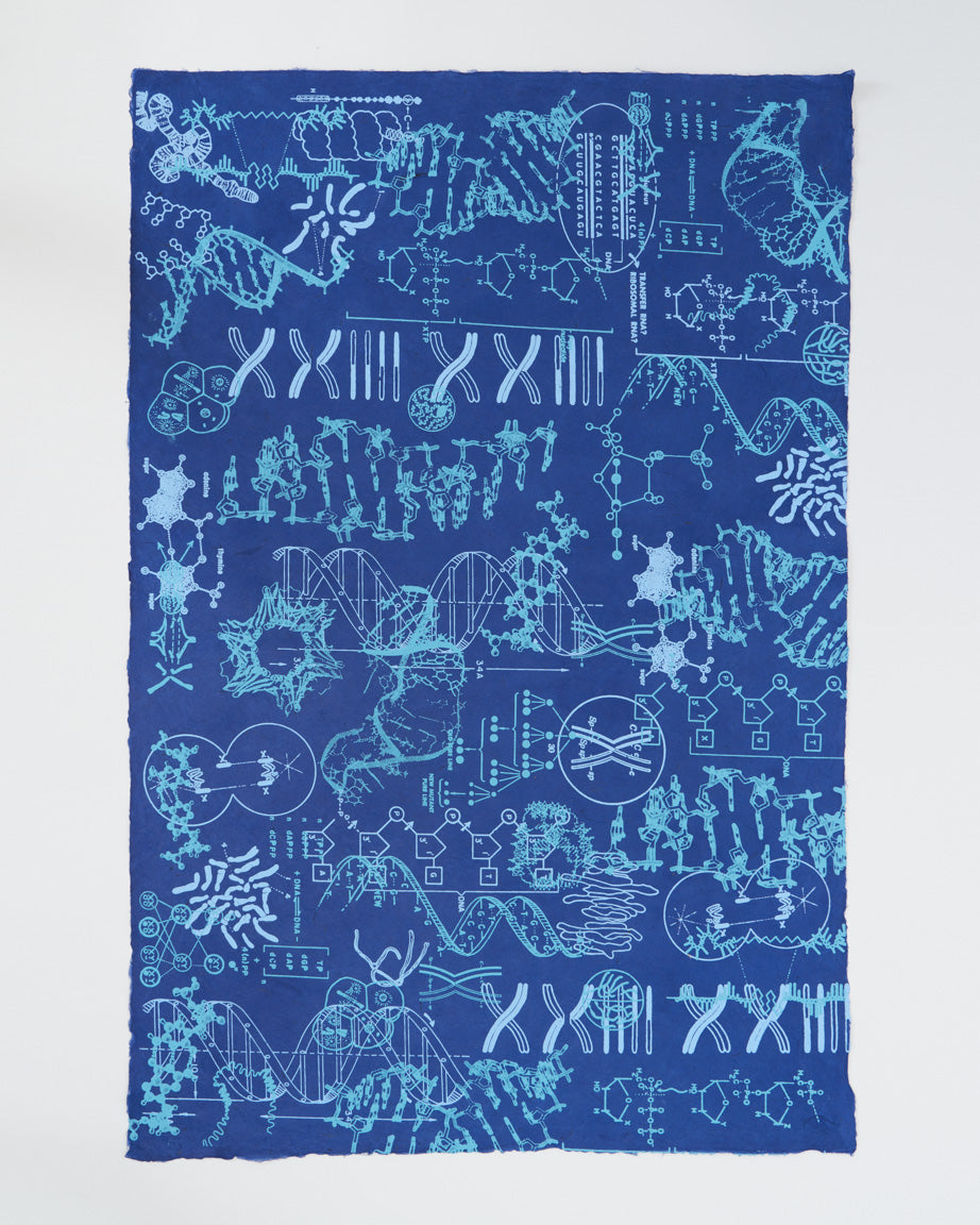 Genetics & DNA Wrapping Paper – Cognitive Surplus