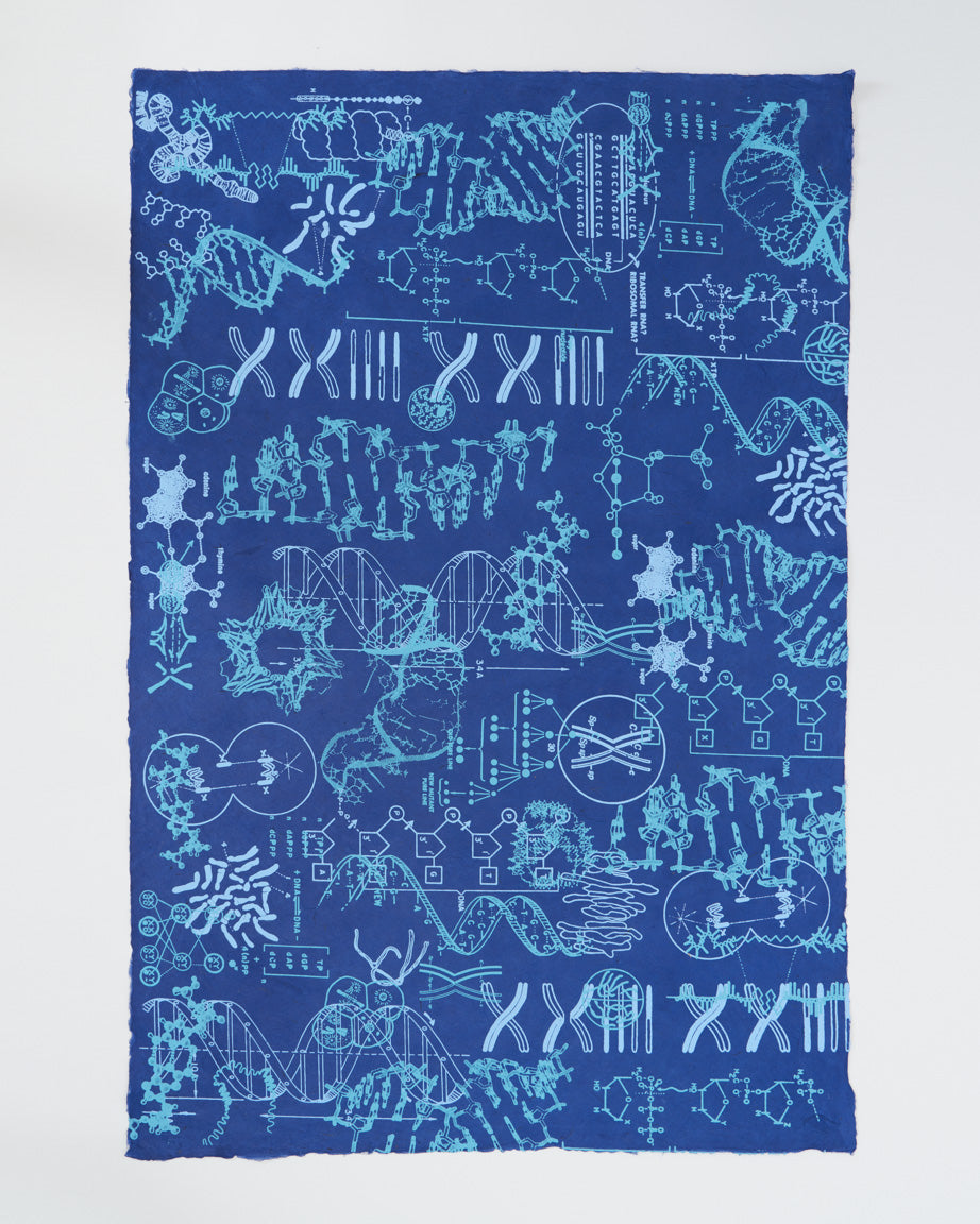 Genetics & DNA Wrapping Paper