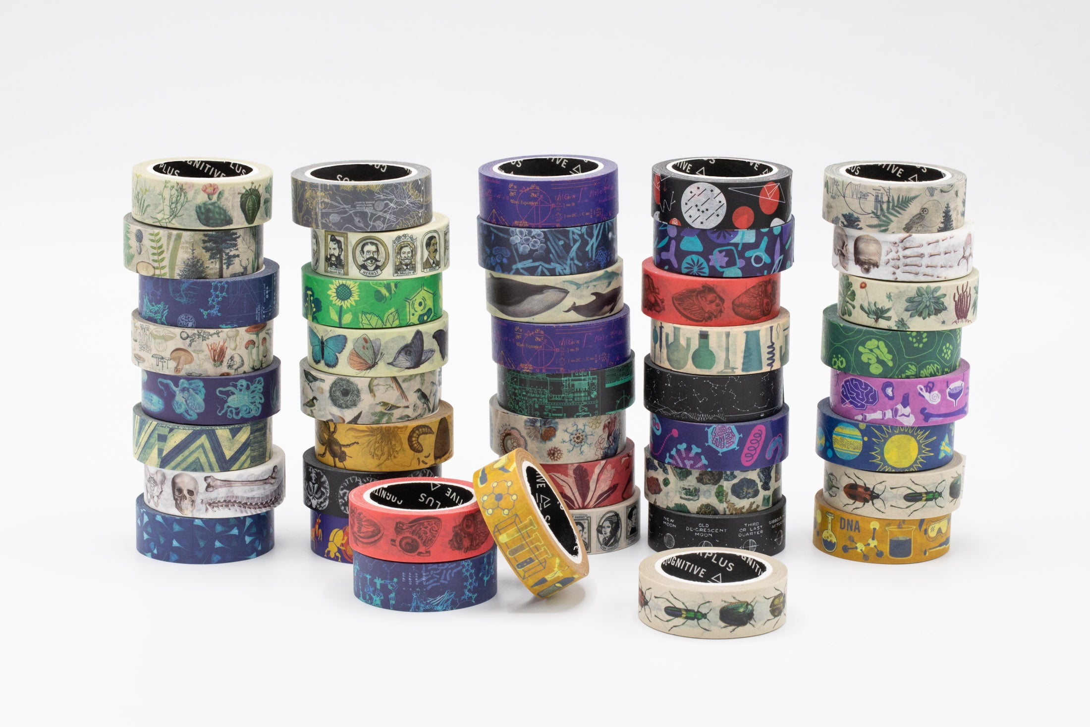 Entomology: Beetles Washi Tape – Cognitive Surplus