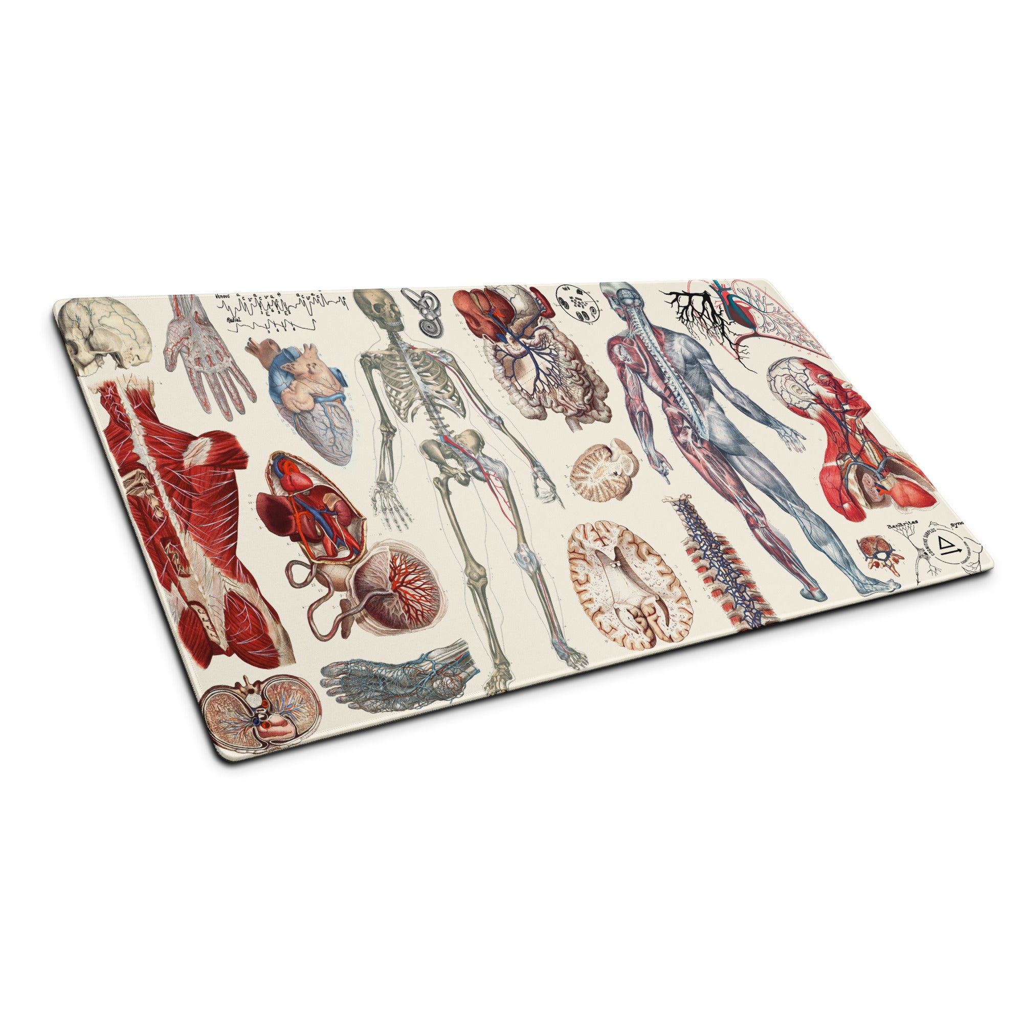 Anatomy Gaming Mouse Pad