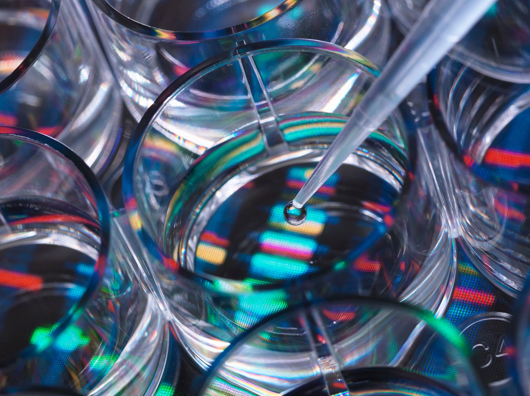 genetic-research-a-human-sample-being-pipetted-in-2022-03-04-01-50-47-utc_bcf5fecc-628a-46fe-b3e3-c957adc326c8.jpg