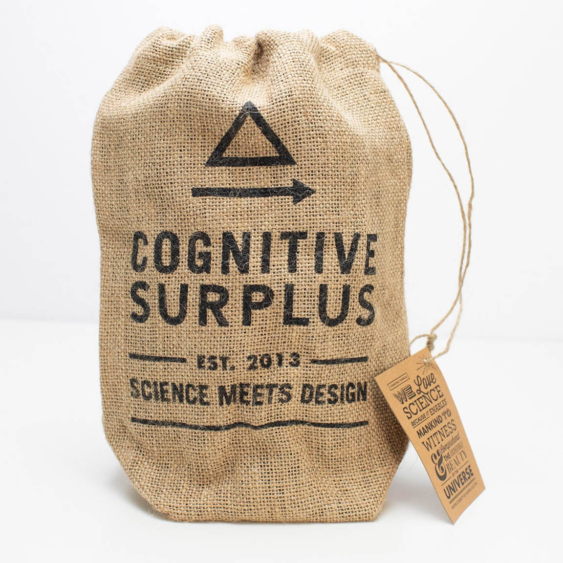 A Nulls.Net gift bag with the words cognitive surplus on it.
