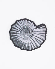 Ammonite Fossil Sticker Cognitive Surplus
