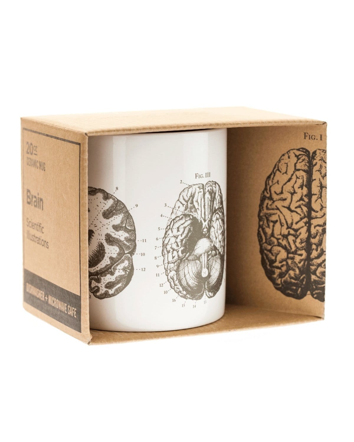 Brain Mug 20 oz | Cognitive Surplus