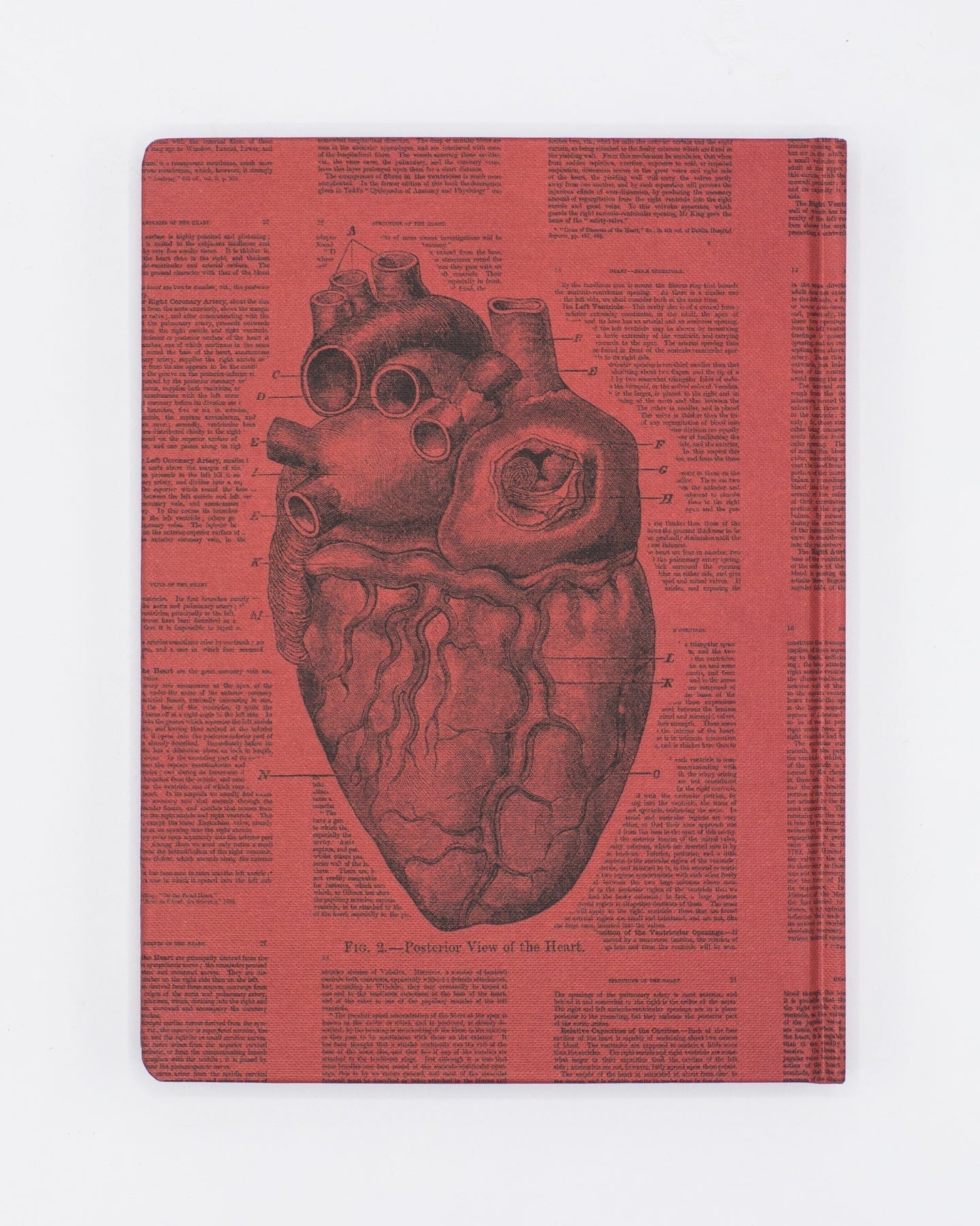 Anatomical Heart Hardcover - Blank Cognitive Surplus