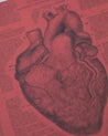 Anatomical Heart Hardcover - Dot Grid Cognitive Surplus