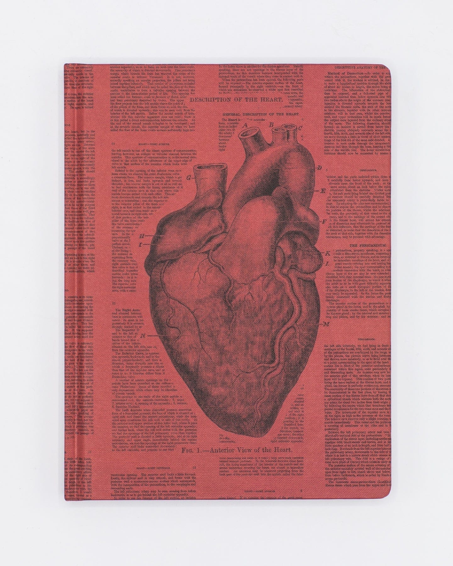 Anatomical Heart Hardcover - Lined/Grid Cognitive Surplus
