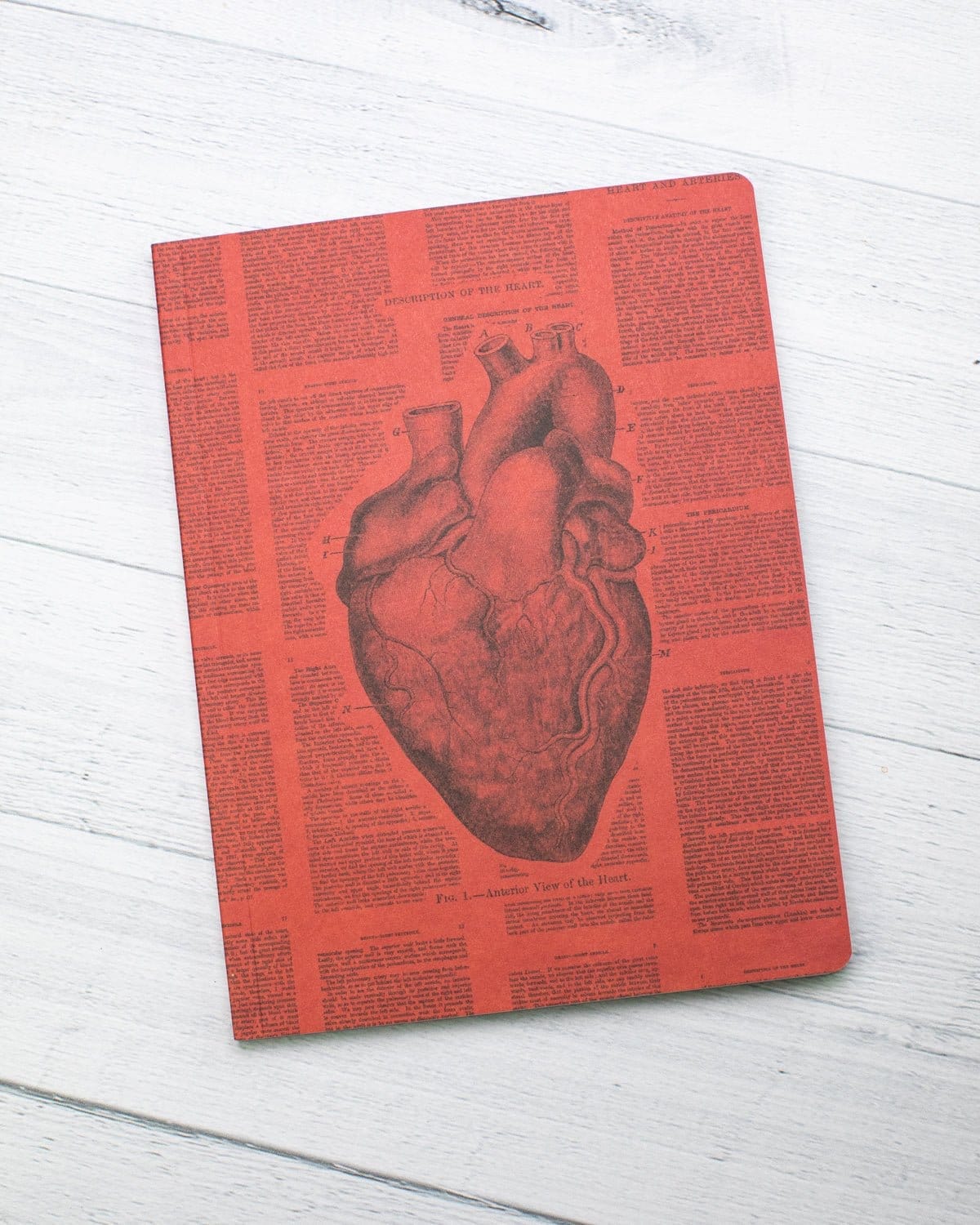 Anatomical Heart Softcover - Lined Cognitive Surplus