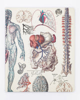 Anatomy Lab Notebook