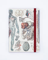 Anatomy & Physiology A5 Softcover Notebook