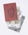 Anatomy Pocket Notebook 4-pack Cognitive Surplus
