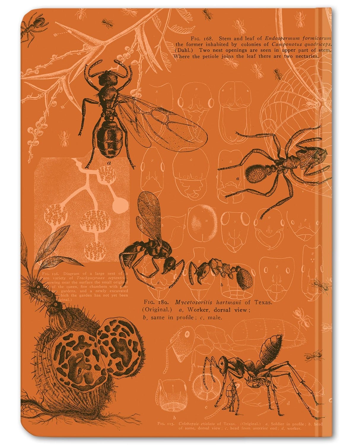 Ants Hardcover - Dot Grid Cognitive Surplus