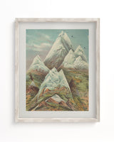 Mountain Regions 2 Scientific Illustration Museum Print