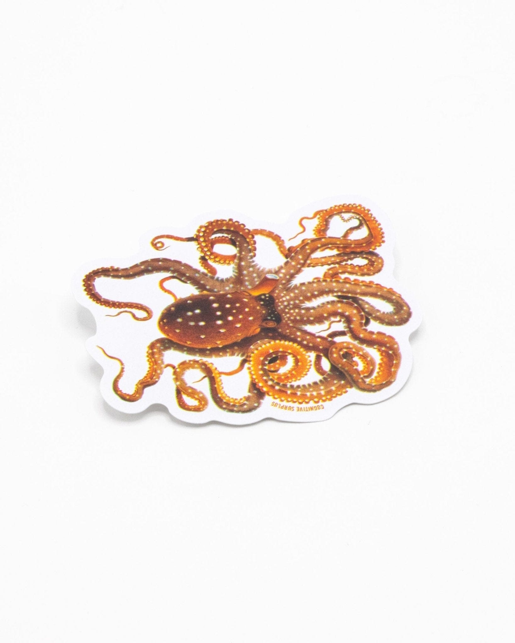 Atlantic White-Spotted Octopus Sticker Cognitive Surplus