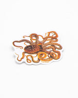 Atlantic White-Spotted Octopus Sticker