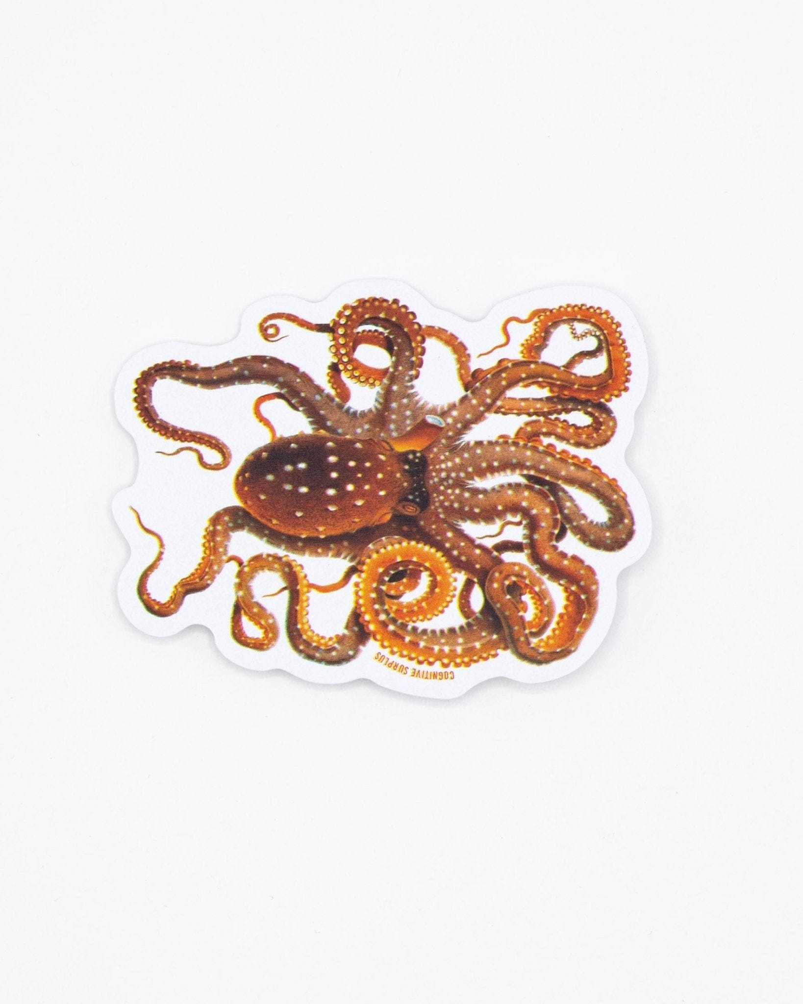 Atlantic White-Spotted Octopus Sticker Cognitive Surplus
