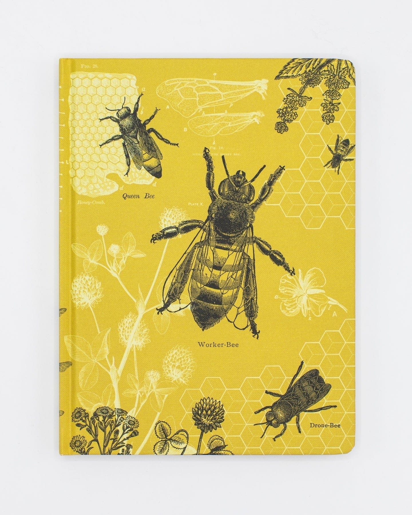 Bees Hardcover - Dot Grid Cognitive Surplus