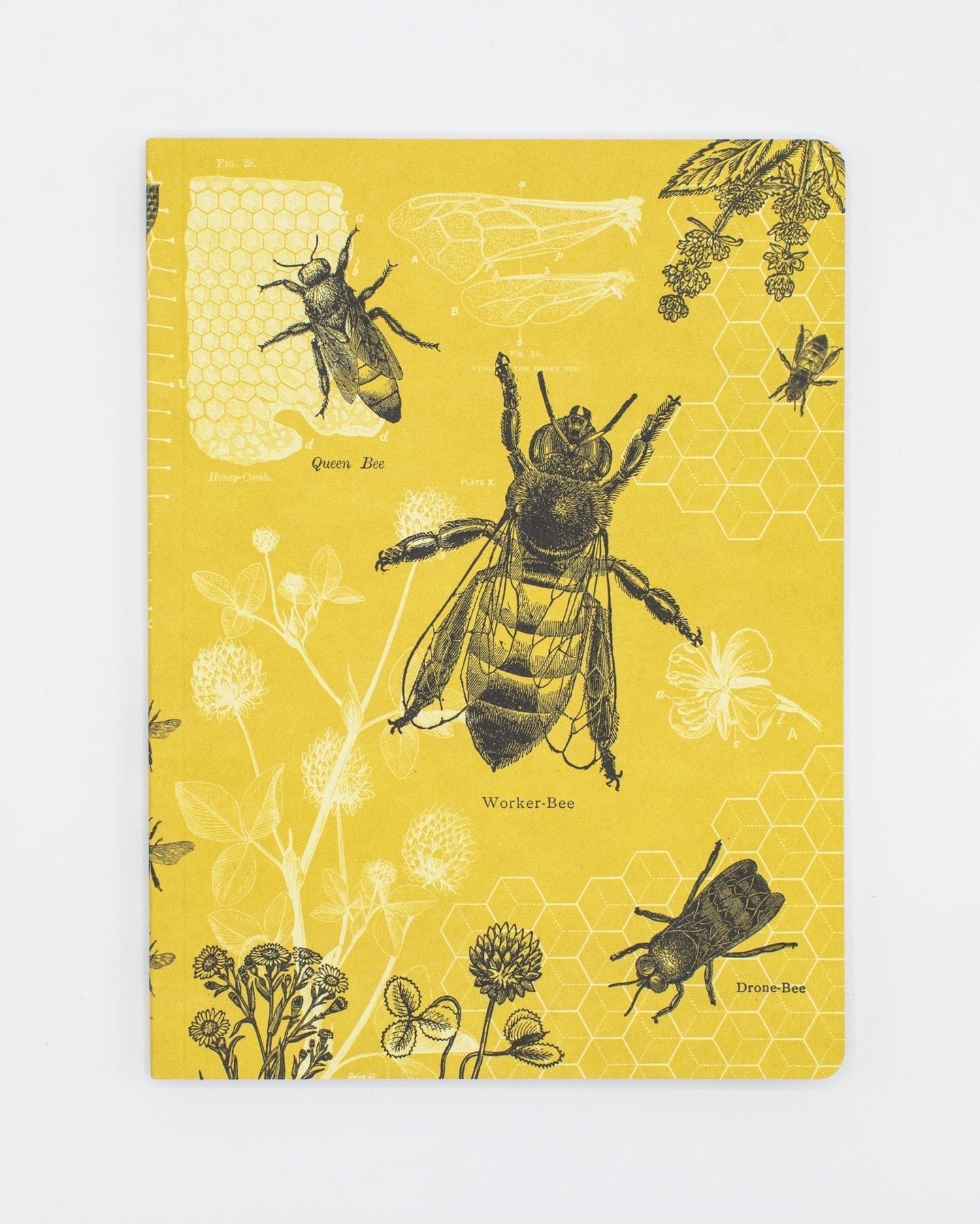Bees Softcover - Lined Cognitive Surplus