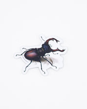 Beetle Sticker Cognitive Surplus
