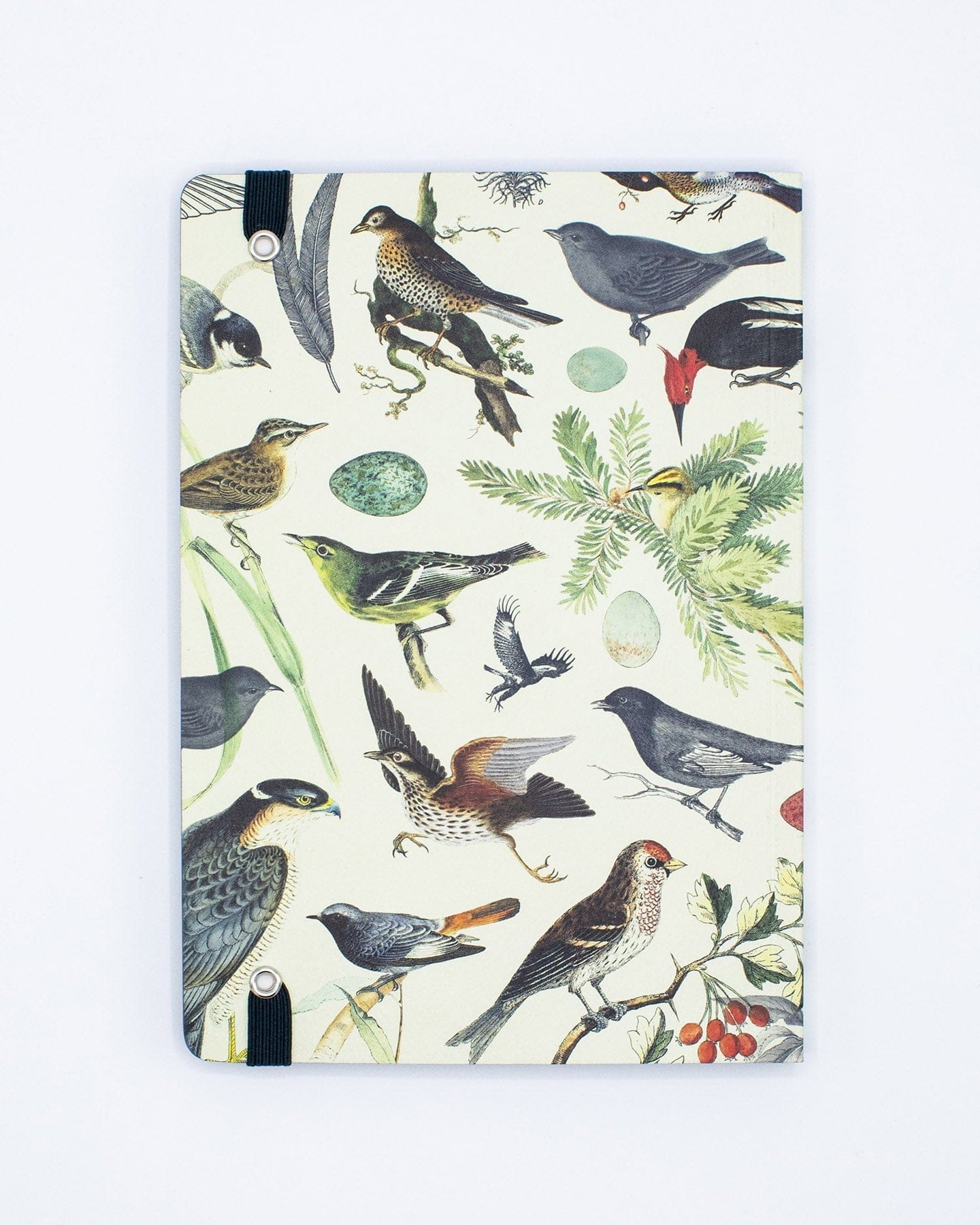 Birds & Feathers A5 Softcover Cognitive Surplus