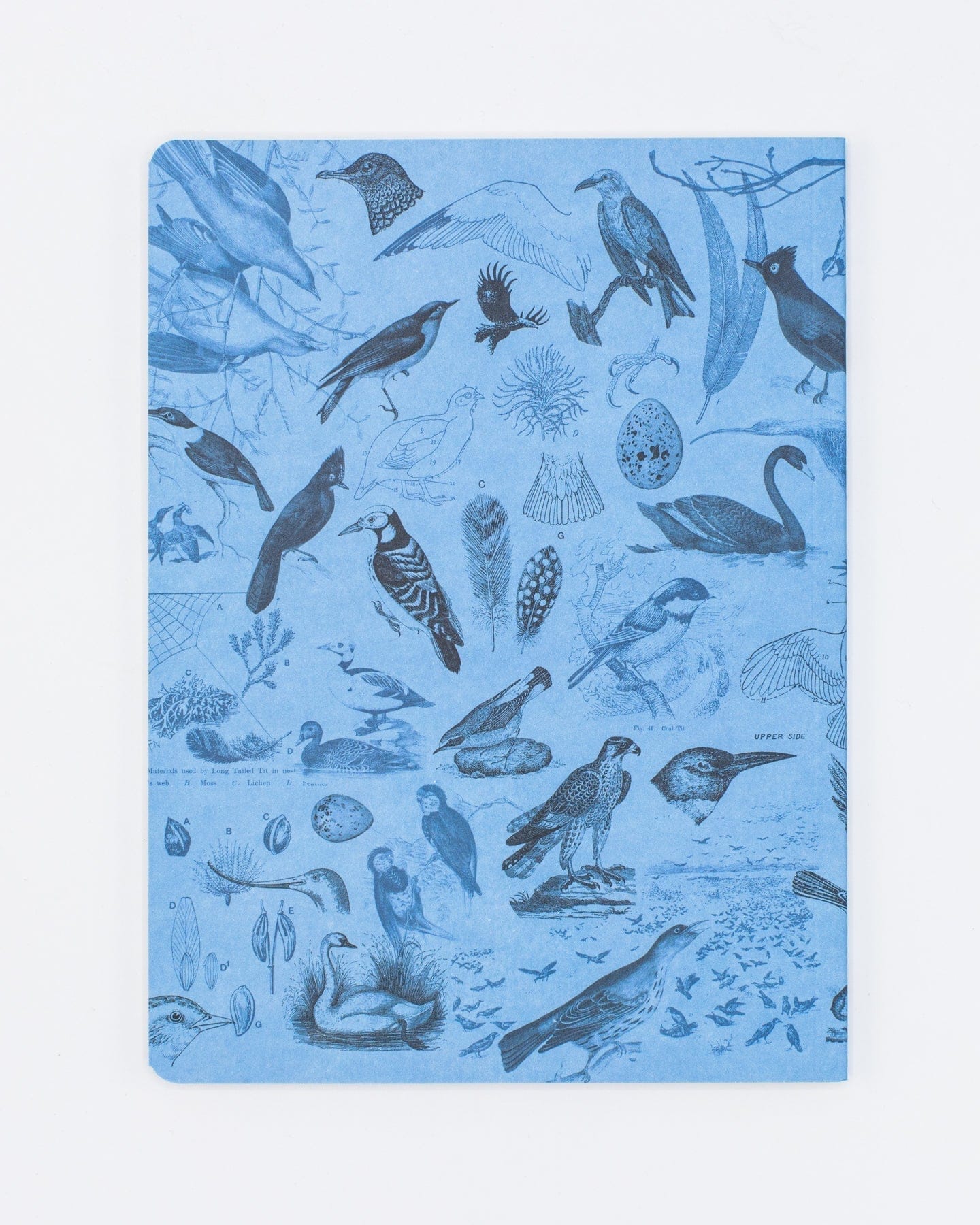 Birds Softcover - Lined Cognitive Surplus