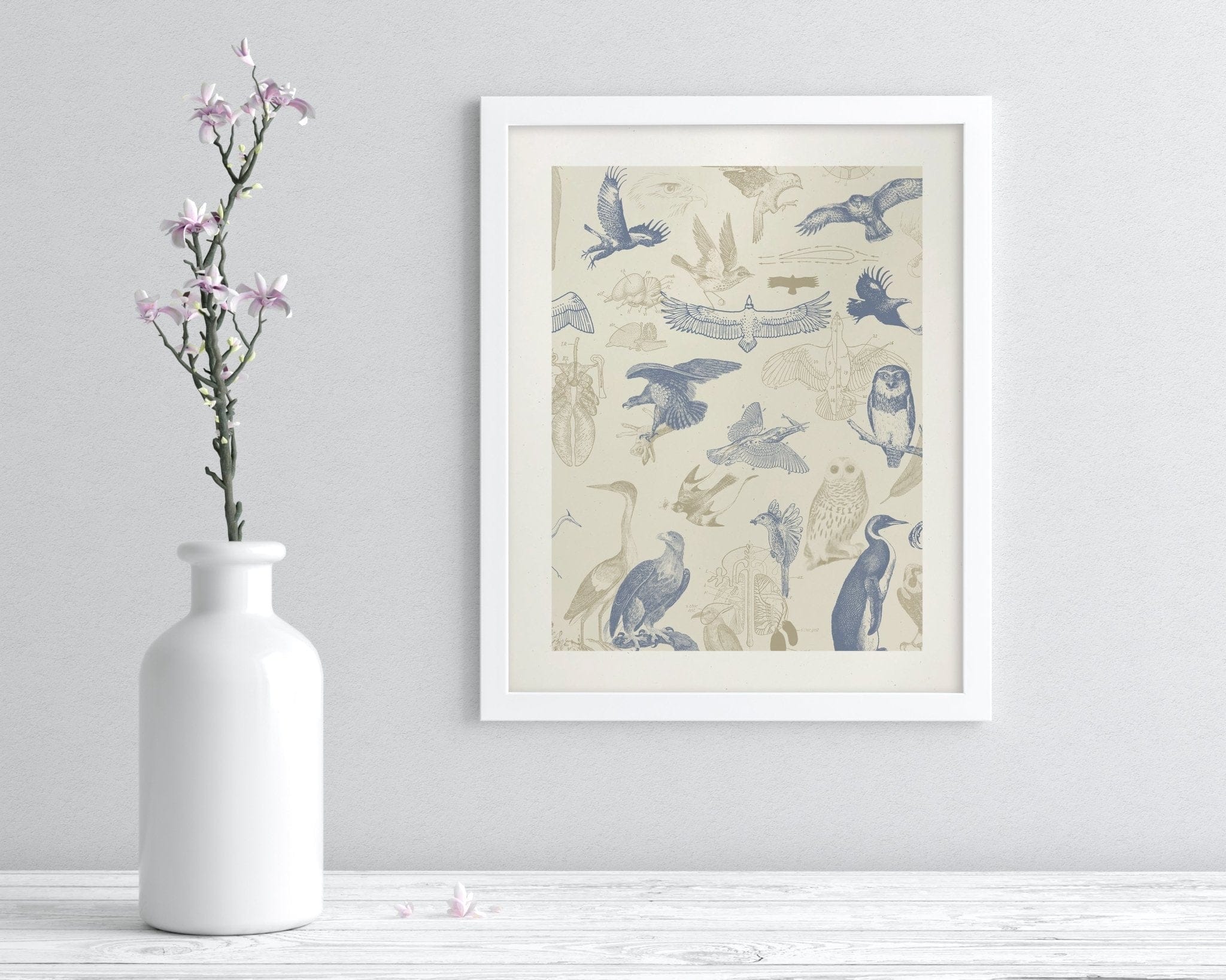 Birds of Prey Museum Print Cognitive Surplus