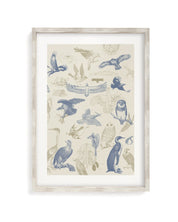 Birds of Prey Museum Print Cognitive Surplus