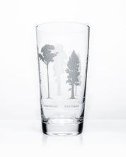 A Forest Giants Beer Glass (12 oz) with trees on it, made by Cognitive Surplus.