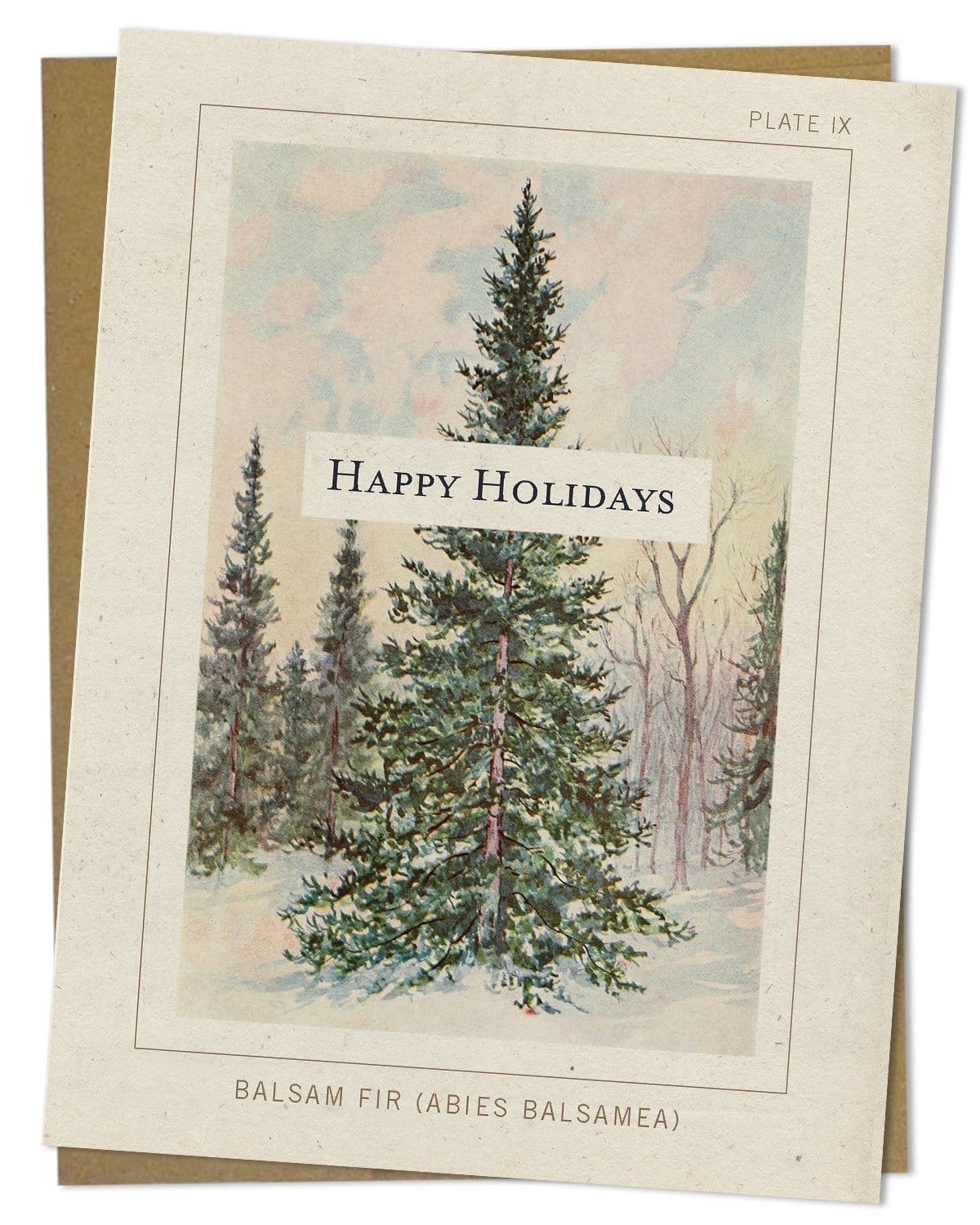 Botanical Plate: Balsam Fir Happy Holidays Card Cognitive Surplus