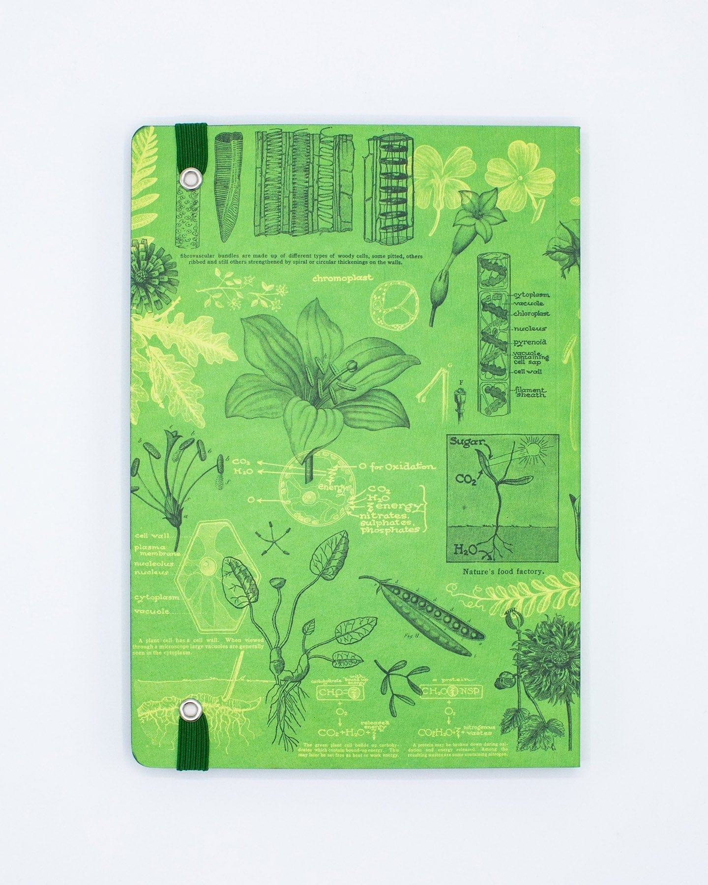 Botanical Reverie A5 Softcover Cognitive Surplus