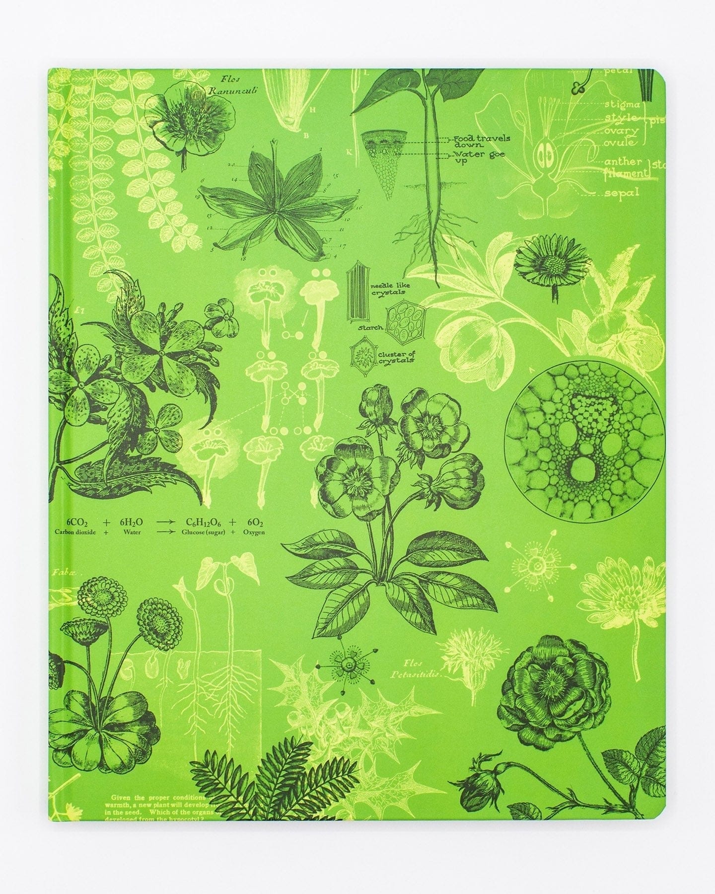 Botany & Plant Science Lab Notebook – Cognitive Surplus