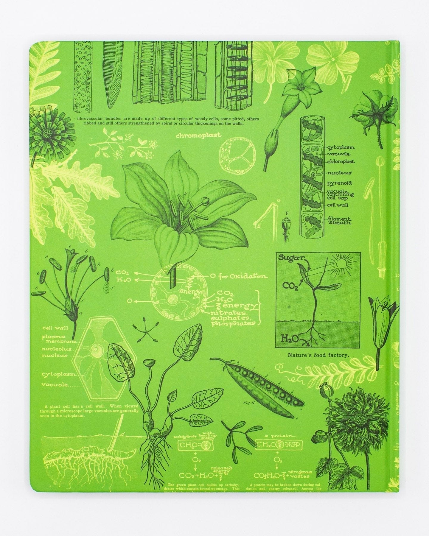 Botany Design Note Book Botany Gifts - Poisonous Plants Notebooks | Cognitive Surplus – Tagged ...