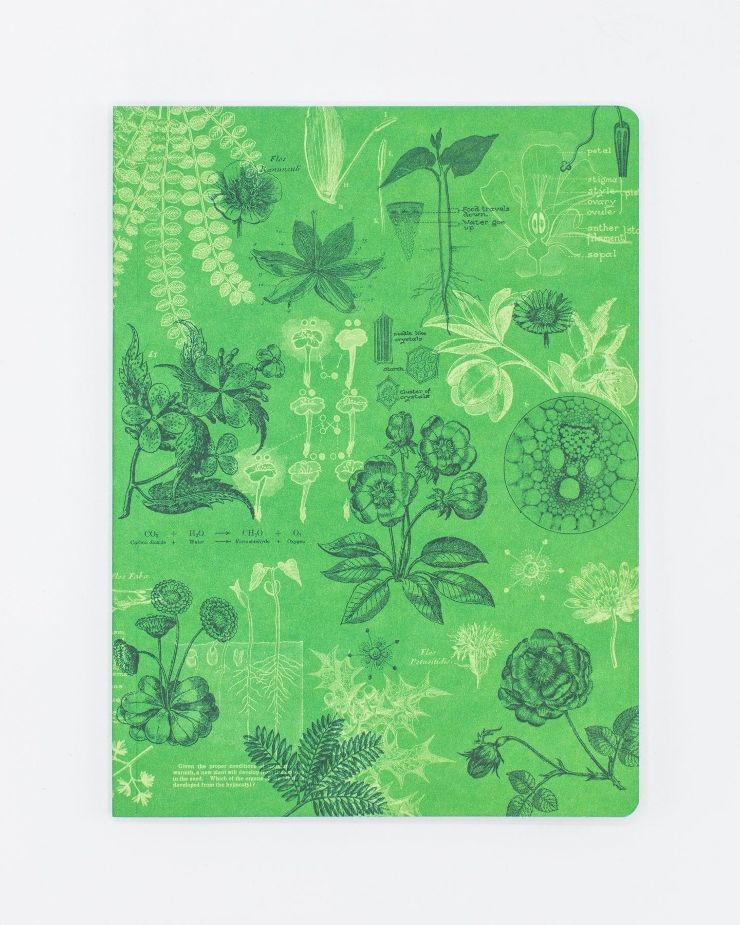 Botany Design Note Book Botanical Print Softcover Notebook | Recycled Notebook – Cognitive Surplus