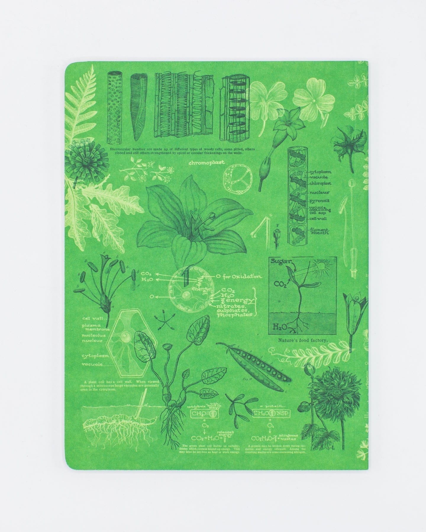 Botany Design Note Book Botanical Print Softcover Notebook | Recycled Notebook – Cognitive Surplus