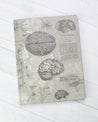 Brain Anatomy Hardcover - Dot Grid Cognitive Surplus