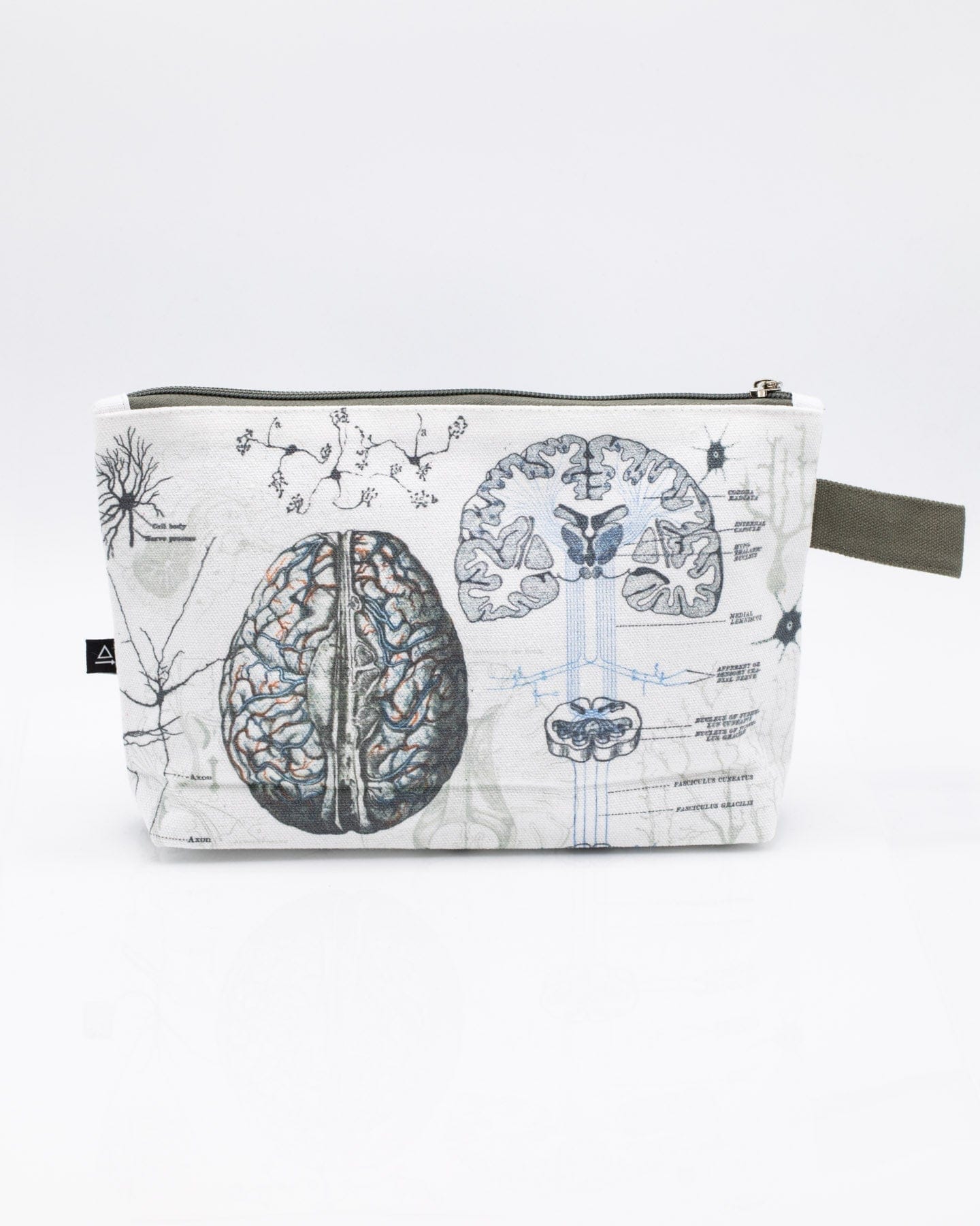 Brain Anatomy Pencil Bag Cognitive Surplus