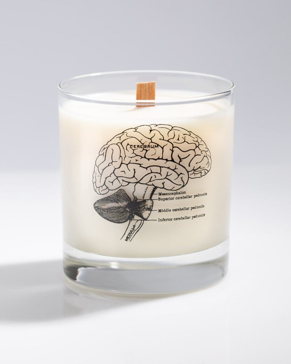Brain Cocktail Candle Cognitive Surplus