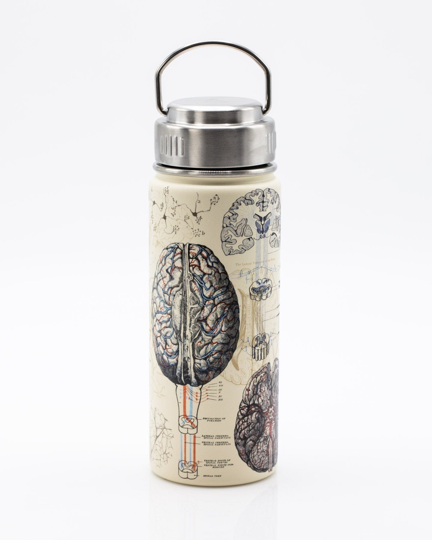 Brain & Neuroscience 18 oz Steel Bottle Cognitive Surplus