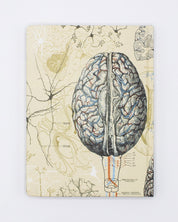 Brain & Neuroscience Hardcover - Lined/Grid Cognitive Surplus