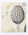 Brain & Neuroscience Lab Notebook Cognitive Surplus