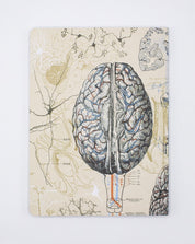 Neuron Softcover Notebook | Brain Notebook – Cognitive Surplus