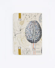 Brain Observation Softcover Cognitive Surplus