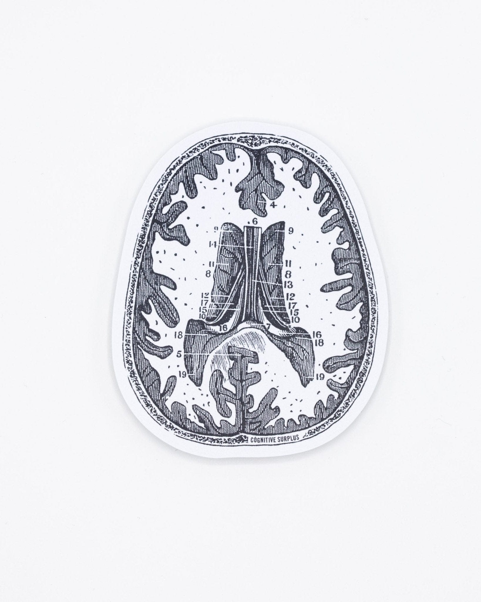 Brain Scan Label Brain Scan Sticker – Cognitive Surplus