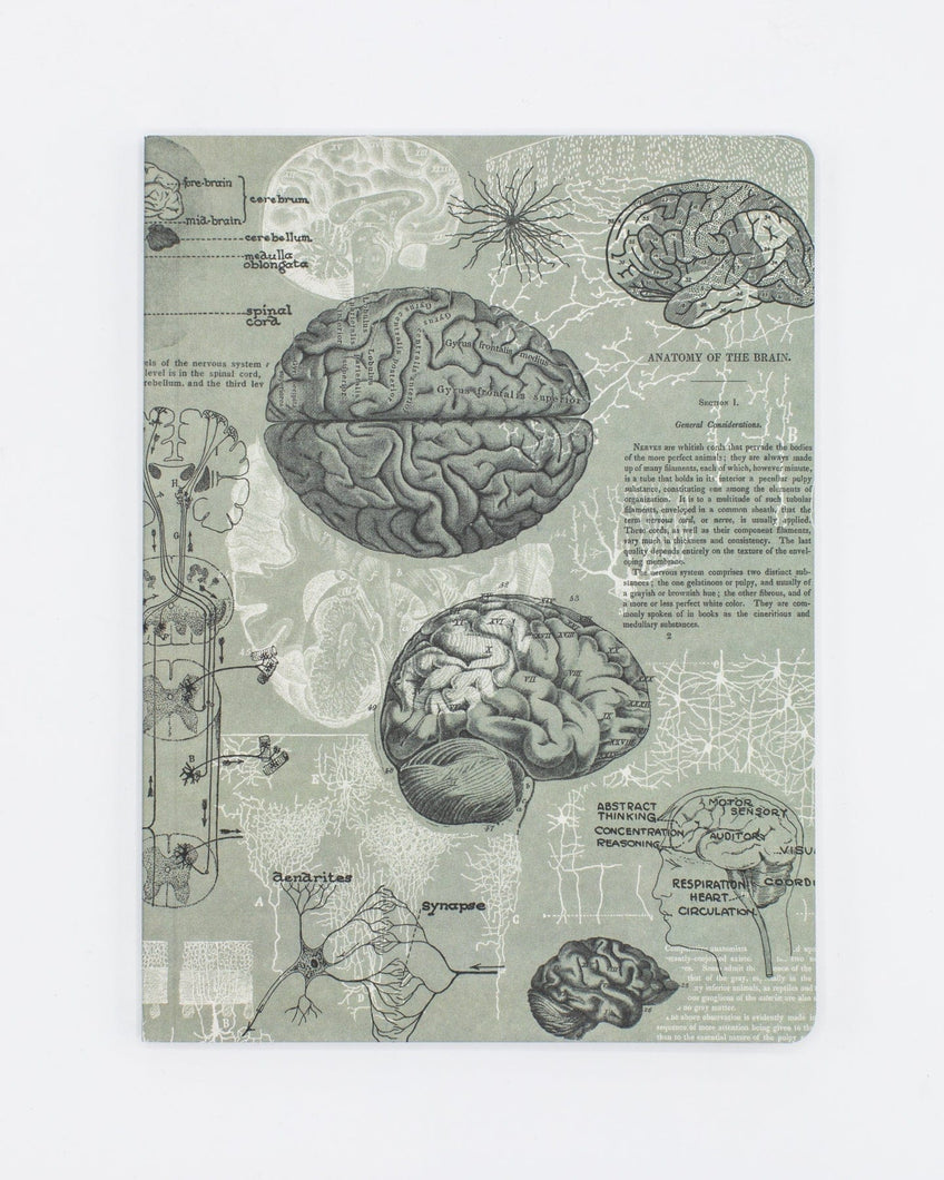 Brain Anatomy Softcover Notebook | Dot Grid Journal – Cognitive Surplus